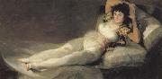 Francisco de goya y Lucientes The Maja Clothed china oil painting artist